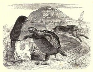 Creative Commons License. Source GRANDVILLE Jean, illustration from the 1855 edition of La Fontaine's Fables