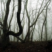 How Setting Affects Character #writetip #writing from @emlynley