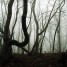 How Setting Affects Character #writetip #writing from @emlynley