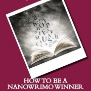 #NaNoWriMo Story Planning in 11 Steps #writetip @smoothdraft