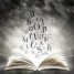 #NaNoWriMo Story Plan for my FBI/BDSM/Druglord/Suspense Novel #NaNoPlan