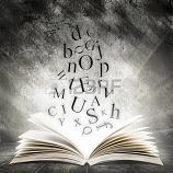 #NaNoWriMo Story Plan for my FBI/BDSM/Druglord/Suspense Novel #NaNoPlan